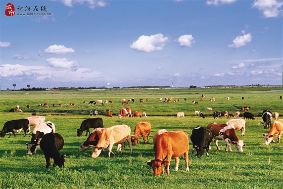 2015晋中农业 十大新闻晋中日报多媒体数字报