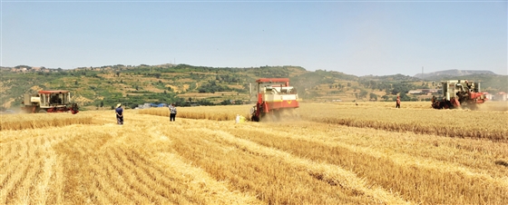 2015晋中农业 十大新闻晋中日报多媒体数字报