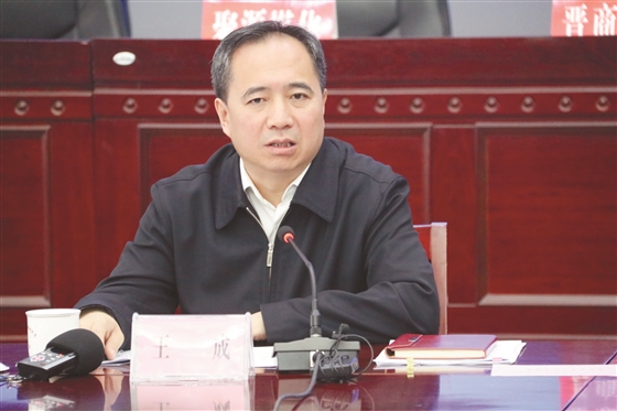 市委书记王成在全市招商引资动员会上作重要讲话